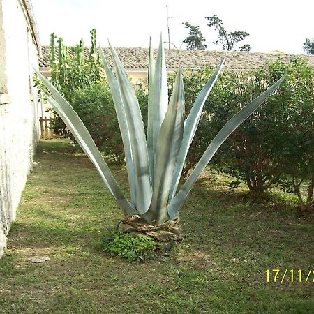 Residence L'Agave Cropani Esterno foto